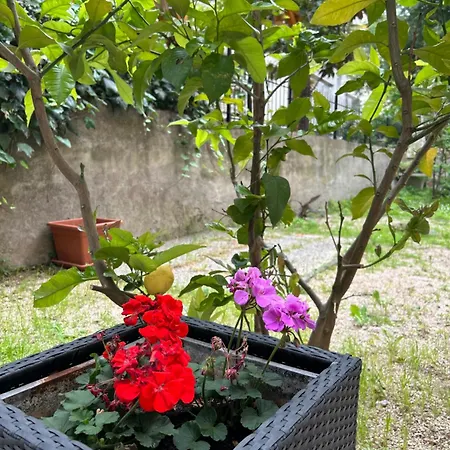 Urban Getaway Double ゲストハウス スプリト